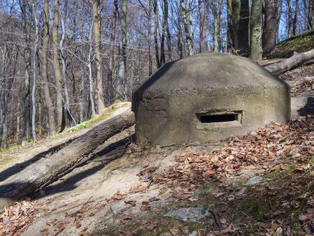 Bunker from World War II on Baltic Sea shoreの写真素材