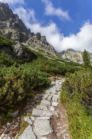Trail in the High Tatras - Slovakiaの写真素材
