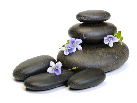 Zen stones and plant on the white backgroundの写真素材