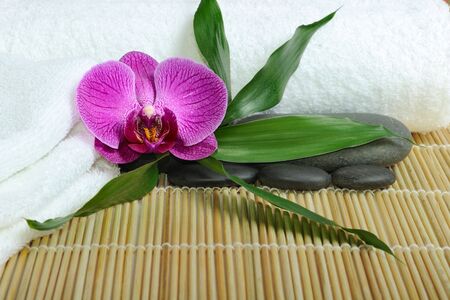spa concept with orchid and stonesの写真素材