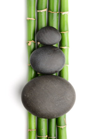Bamboo grove and zen stones on the white backgroundの写真素材