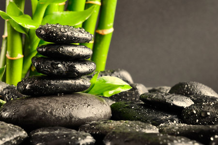 black stones and green plant with dropsの写真素材