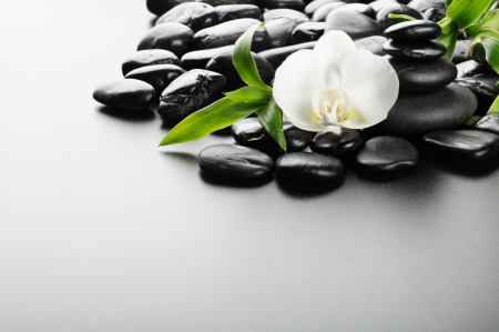 zen stones and  orchid on the blackの写真素材