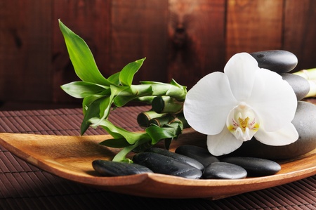 spa concept zen stones and  orchidの写真素材