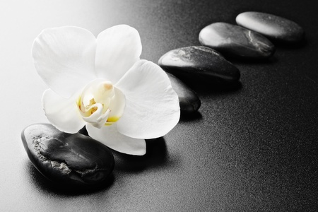 zen stones and  orchid on the blackの写真素材