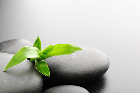  zen stones and  bamboo on the blackの写真素材