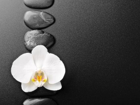 zen stones and  orchid on the blackの写真素材