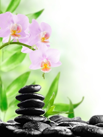 zen basalt stones and orchid with dewの写真素材