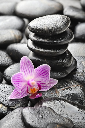 zen stones and pink orchid in the waterの写真素材