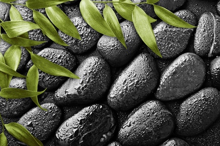 black stones backgound with drops and leavesの写真素材