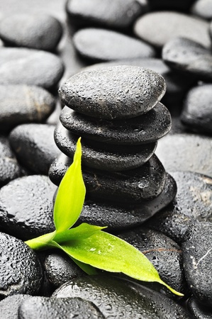 spa concept with zen stones and bambooの写真素材