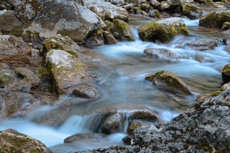 mountain river in the forestの写真素材