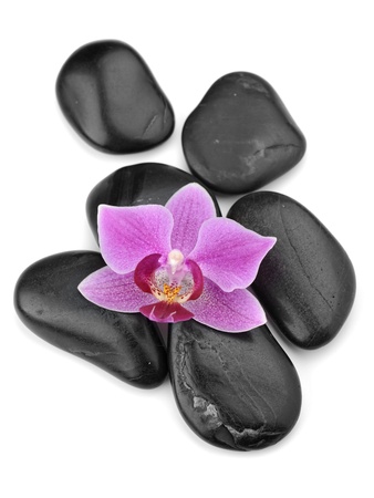 zen basalt stones and orchid isolated on whiteの写真素材