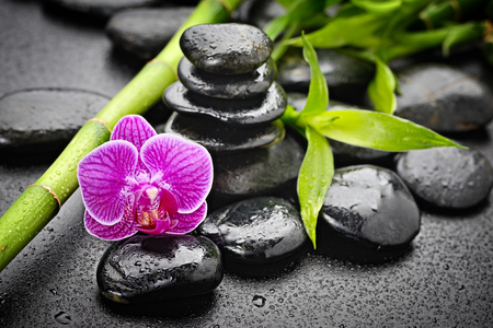 zen basalt stones and orchidの写真素材
