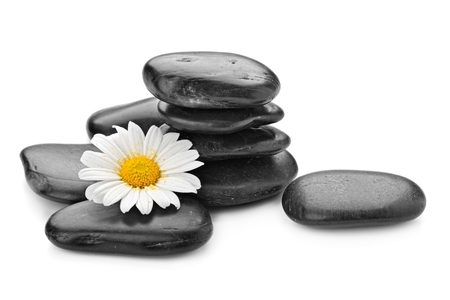 zen basalt stones and daisy isolated on whiteの写真素材