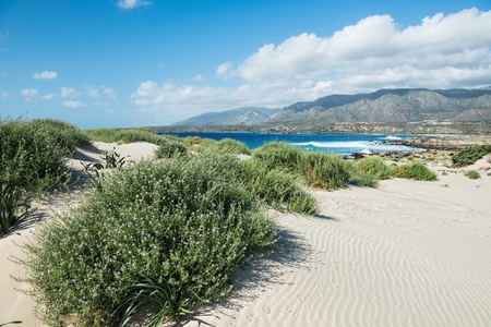 beach on the Elafonisi (Elafonissi) island.Crete,Greeceの写真素材