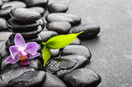 zen basalt stones and orchidの写真素材