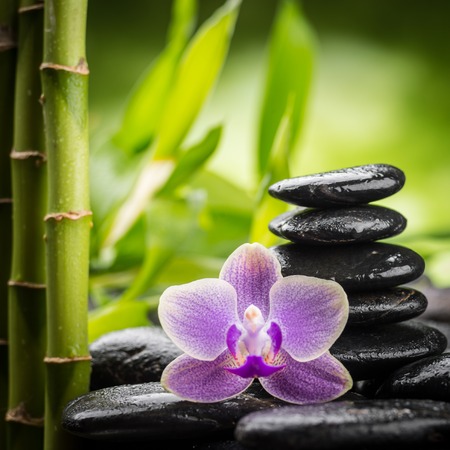 zen basalt stones ,orchid and bambooの写真素材