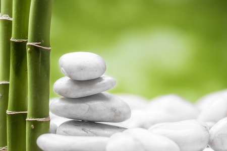 still life with white stones and bamboo groveの写真素材