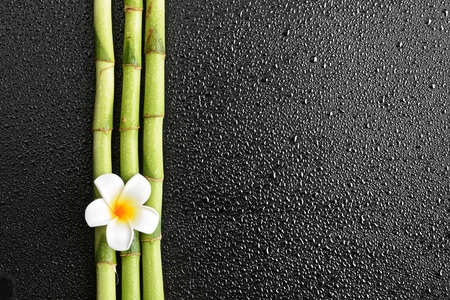 frangipani flower and bamboo on the black backgroundの写真素材