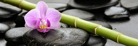 zen basalt stones ,orchid and bambooの写真素材