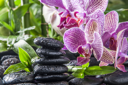 zen basalt stones ,orchid and bambooの写真素材