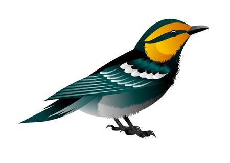 yellow headed blue birdのイラスト素材