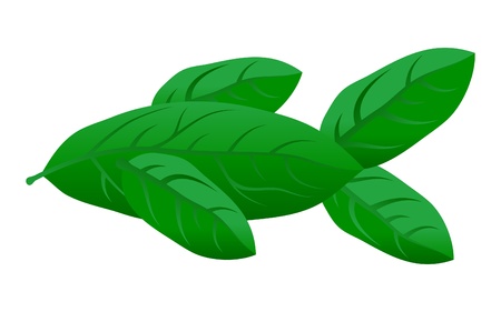 foliage fishのイラスト素材