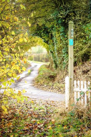 Leafy lane and footpathの写真素材