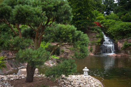Japanese gardenの写真素材