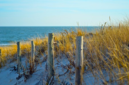 beachscapeの写真素材