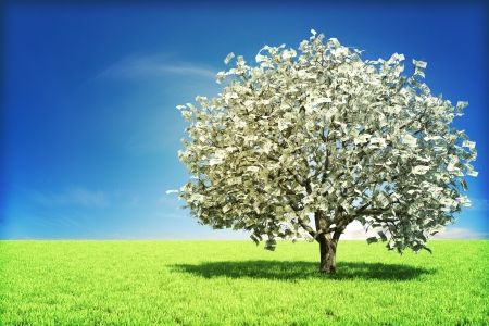 Money tree concept with room for text , or copy space の写真素材