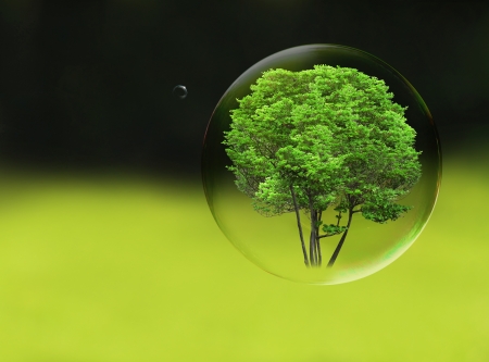 Tree in a bubble, room for text or copy space の写真素材