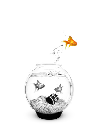 Colored Fish jumping out of a Black and White Fishbowl  Getting away from the ordinary , breaking free   concept の写真素材