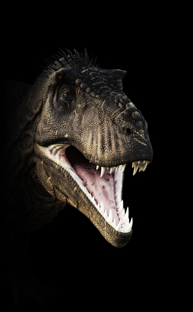 A Tyrannosaurus Rex head piercing through the darkness. 3d renderingの写真素材