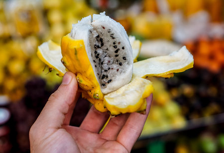 Dragon Fruit (Pitahaya)