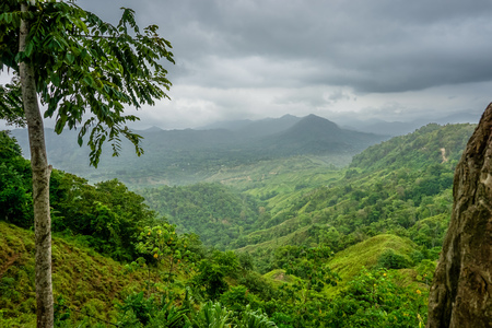 Colombian Jungle Landscapeの写真素材