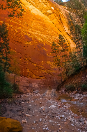Zion National Parkの写真素材