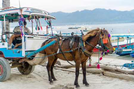 Around Gili Airのeditorial素材