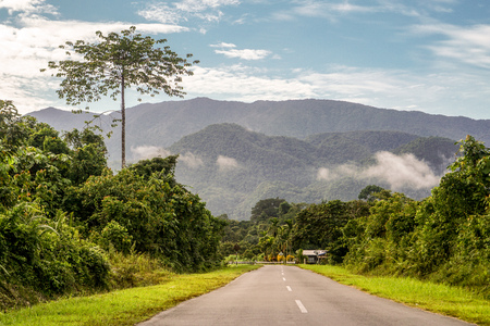 Mulu National Park - view walking to the parkの写真素材
