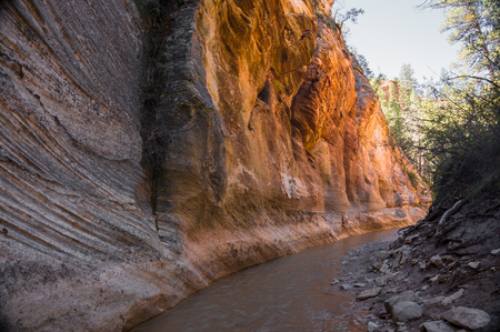 Zion National Parkの写真素材