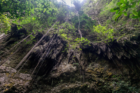 Goa Jomblang Caves - looking up before I get pulled upの写真素材