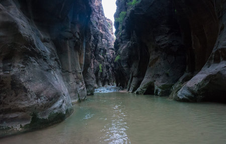 Hiking The Narrows at Zion National Park