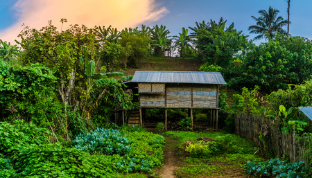 Hsipaw 3-day Hike to Shan Villages - wooden hut during sunsetの写真素材
