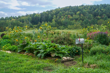 Herb Garden in Vermont