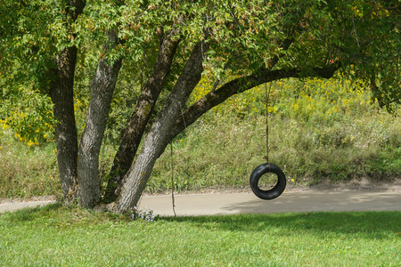 Tire Swingの写真素材