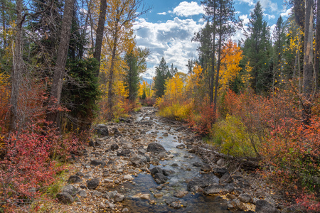 Autumn foliage in The Grand Tetons National Park, Wyomingの写真素材