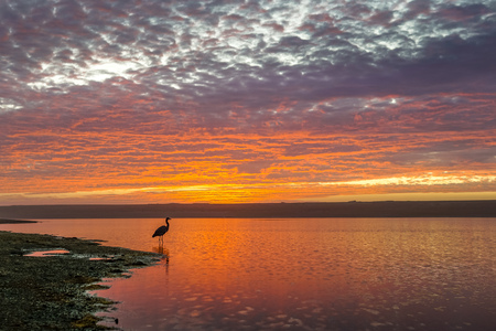 Redwood National and State Park in October - Northern Californiaの写真素材