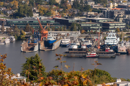 Scenery on the coat of Puget Sound, Seattle Washingtonの写真素材