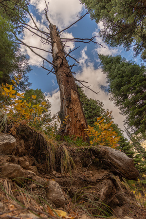Hiking Garnet Canyon Trail Hike The Grand Tetons National Park in Wyoming USAの写真素材